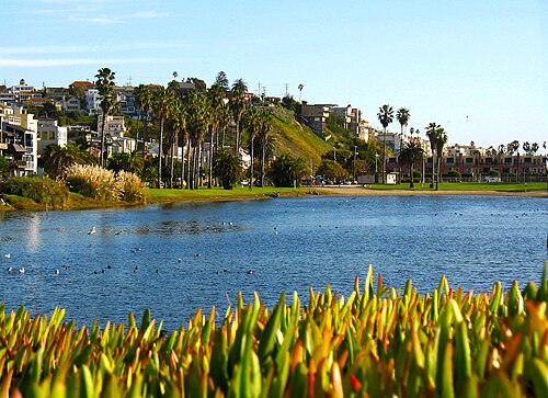 Del Rey Lagoon